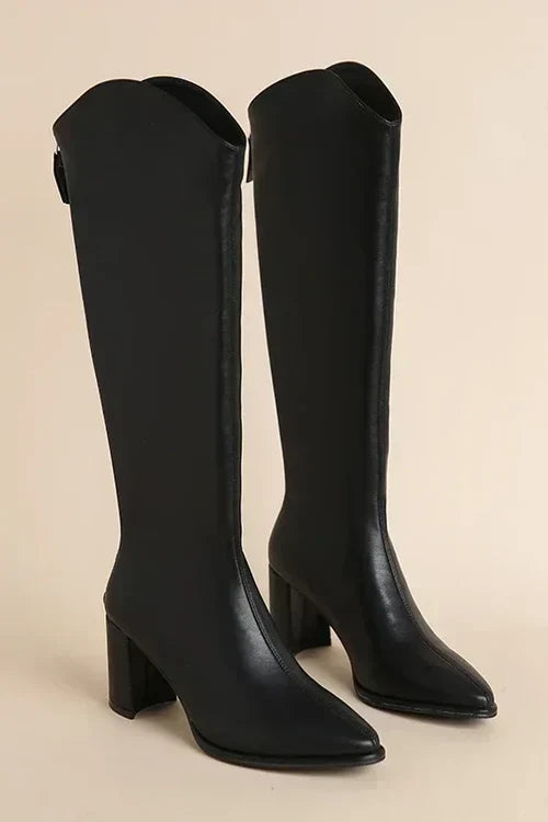Bianca - Pointed Knee High Boots — Black