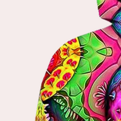 Roland - Psychedelic Print Hoodie