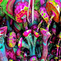 Roland - Psychedelic Print Hoodie